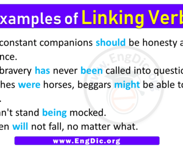 5 Examples of Linking Verbs in Sentences,