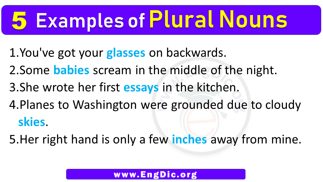 5 Examples Of Plural Nouns In Sentences EngDic
