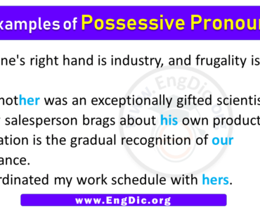 5 Examples of Possessive Pronouns in Sentences