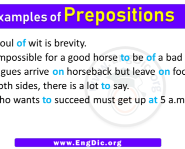 5 Examples of Prepositions in Sentences