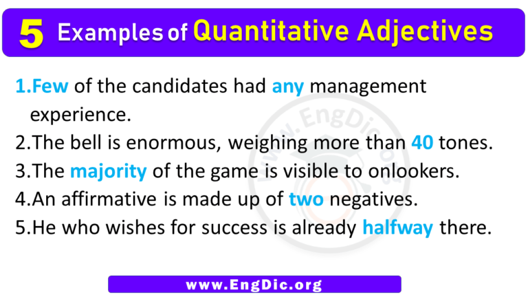 5 Examples Of Quantitative Adjectives In Sentences EngDic