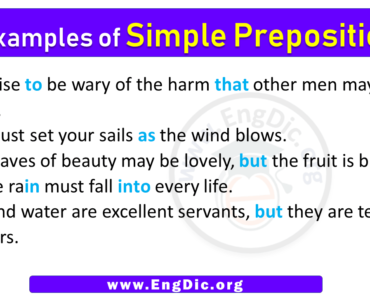 5 Examples of Simple Prepositions in Sentences