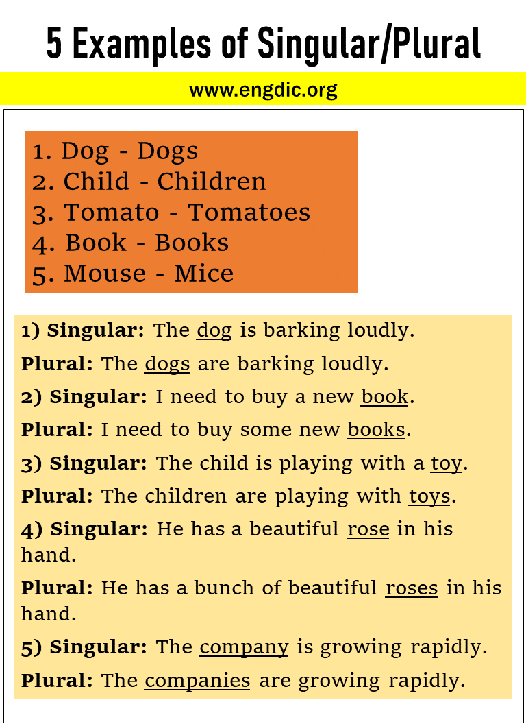 5 Examples of Singular Plural nouns