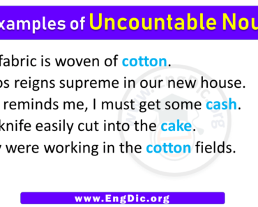 5 Examples of Uncountable Nouns in Sentences
