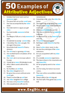 50 Example of Attributive adjectives in Sentences