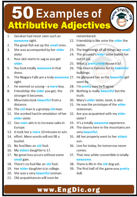 50 Examples Of Attributive Adjectives In Sentences Engdic 