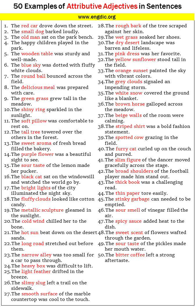 50-examples-of-attributive-adjectives-in-sentences-engdic