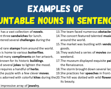50 Examples of Countable Nouns in Sentences