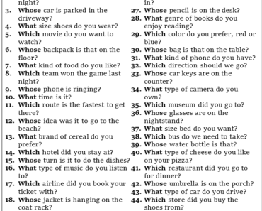 50 Examples of Interrogative Adjectives in Sentences