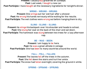 50 Examples of Irregular Verbs in Sentences