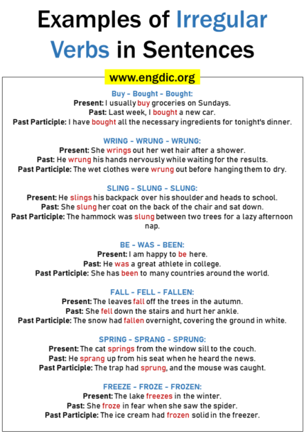 50 Examples of Irregular Verbs in Sentences – EngDic