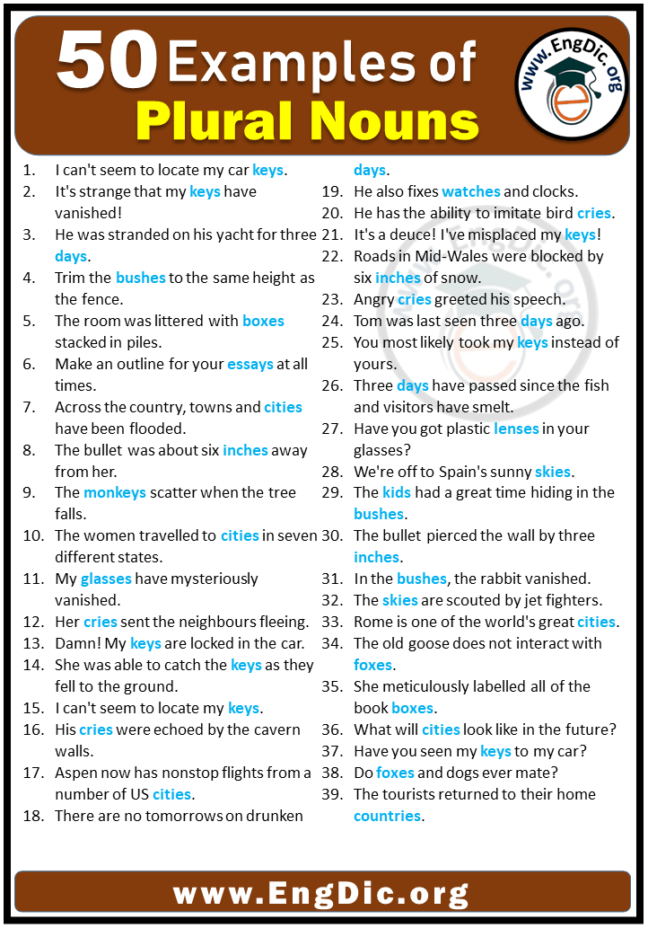 Examples Of Plural Nouns In Sentences Engdic