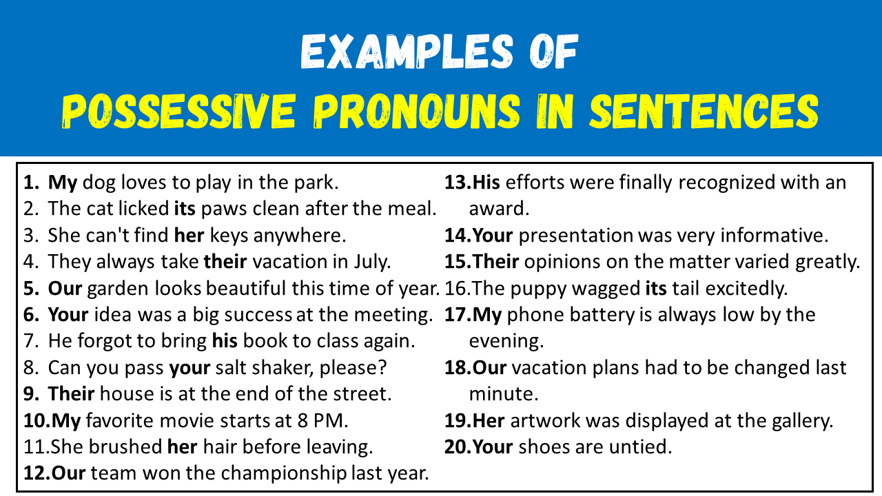 50 Examples of Possessive Adjectives in Sentences