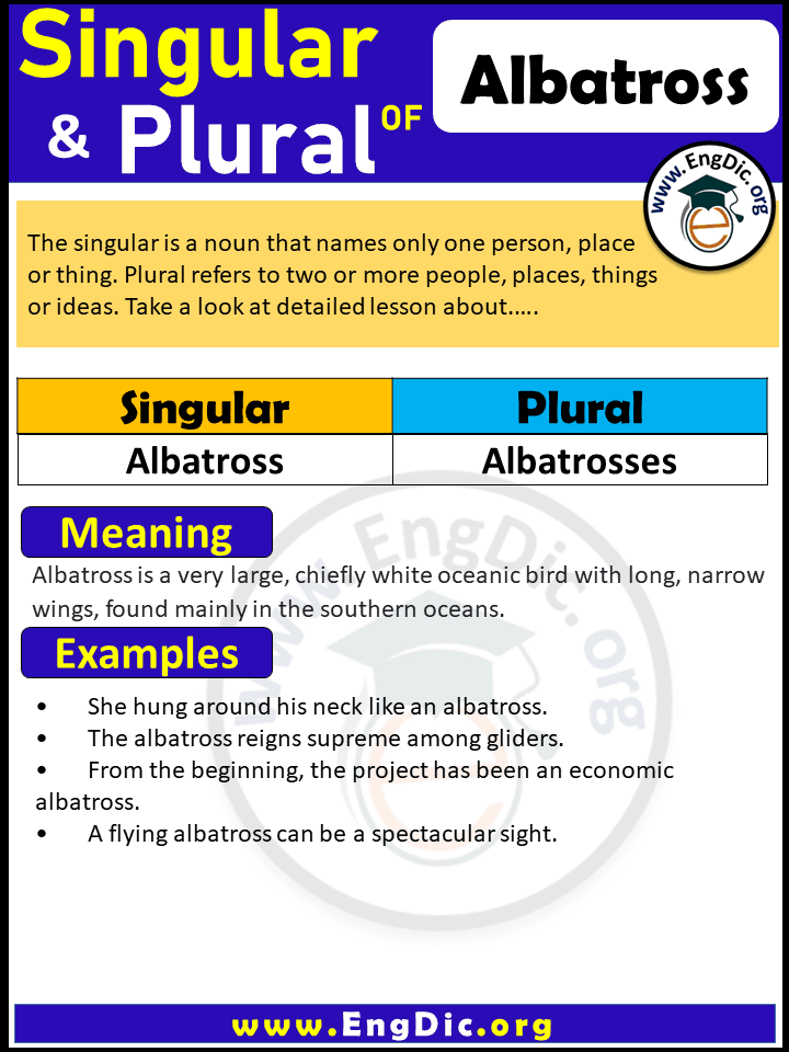 Albatross Plural, What is the plural of Albatross?