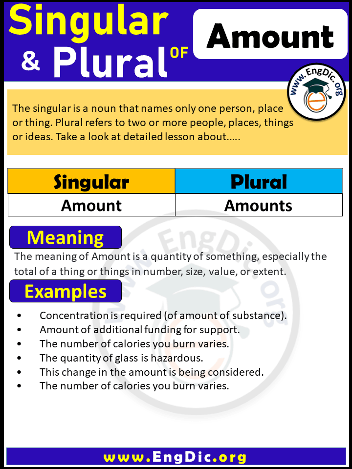 Amount Plural, What is the plural of Amount?