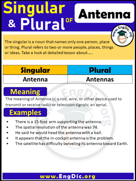 what-is-the-plural-of-antenna-the-word-counter