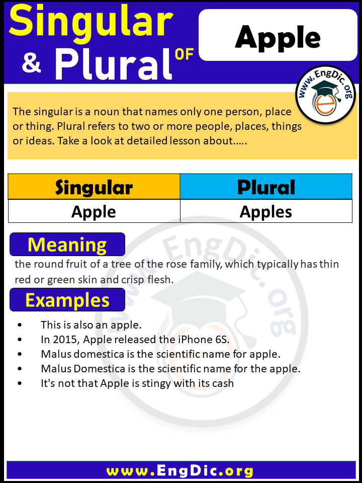 Apple Plural, What is the plural of Apple?