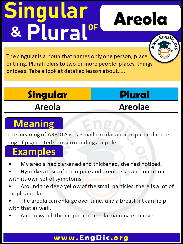 Areola Plural, What is the plural of Areola?