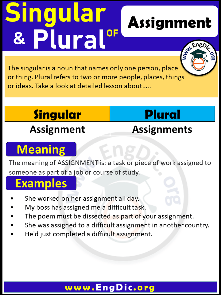 Assignment Plural, What is the plural of Assignment?