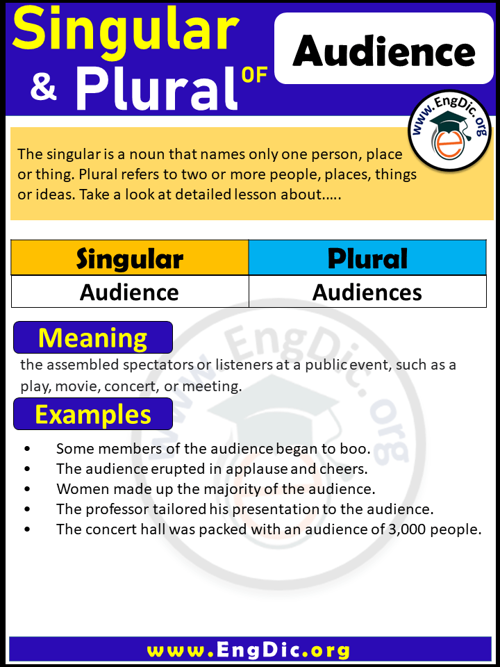 Audience Plural, What is the plural of Audience?