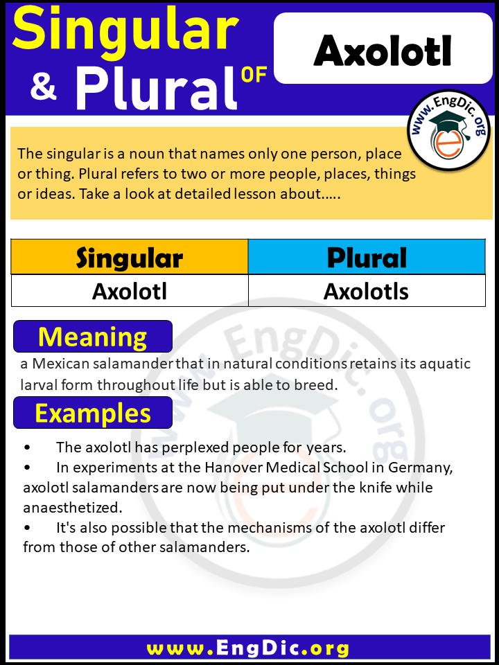 Axolotl Plural, What is the plural of Axolotl?