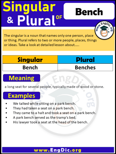 plural-form-of-bench-engdic