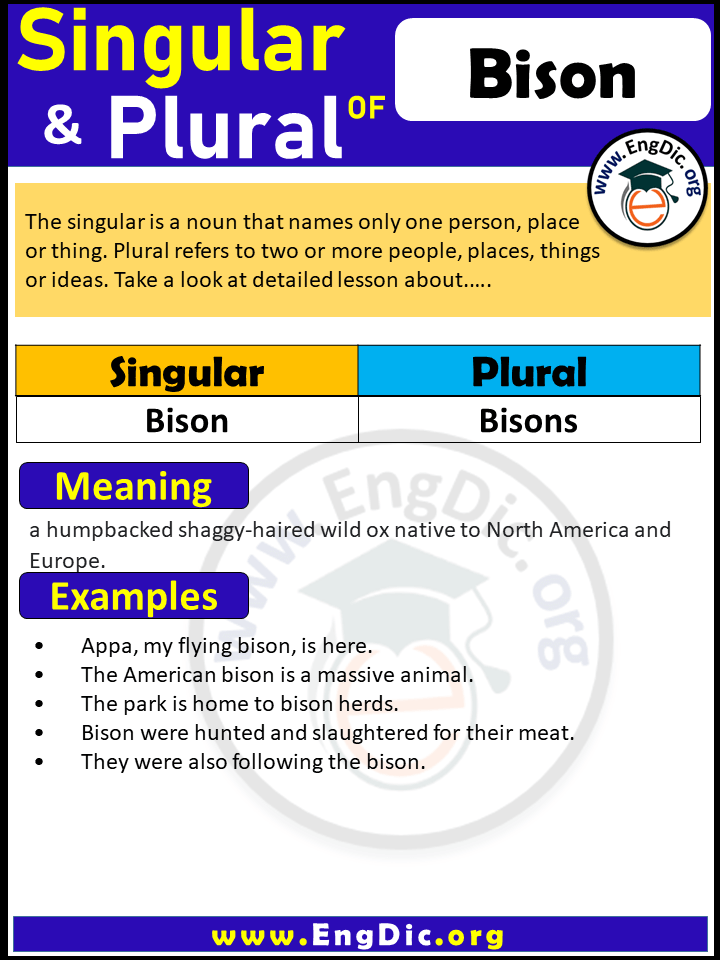 Bison Plural, What is the plural of Bison?