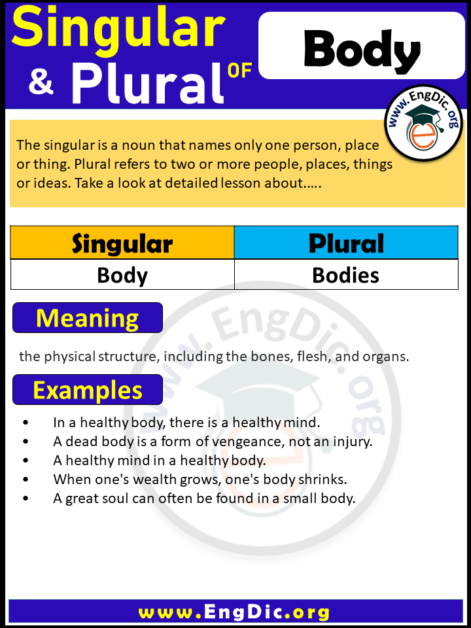 plural-of-body-archives-engdic