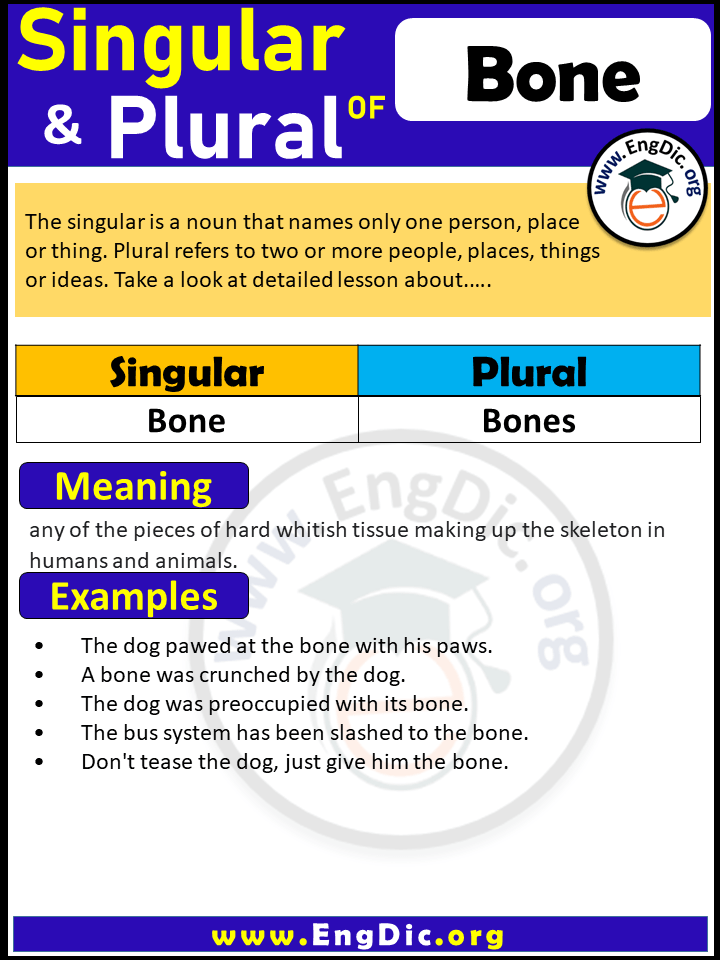 Bone Plural, What is the plural of Bone?