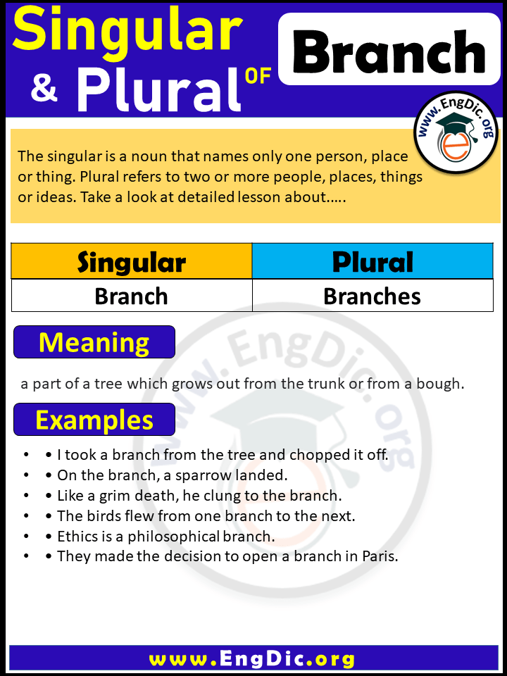 Branch Plural, What is the plural of Branch?