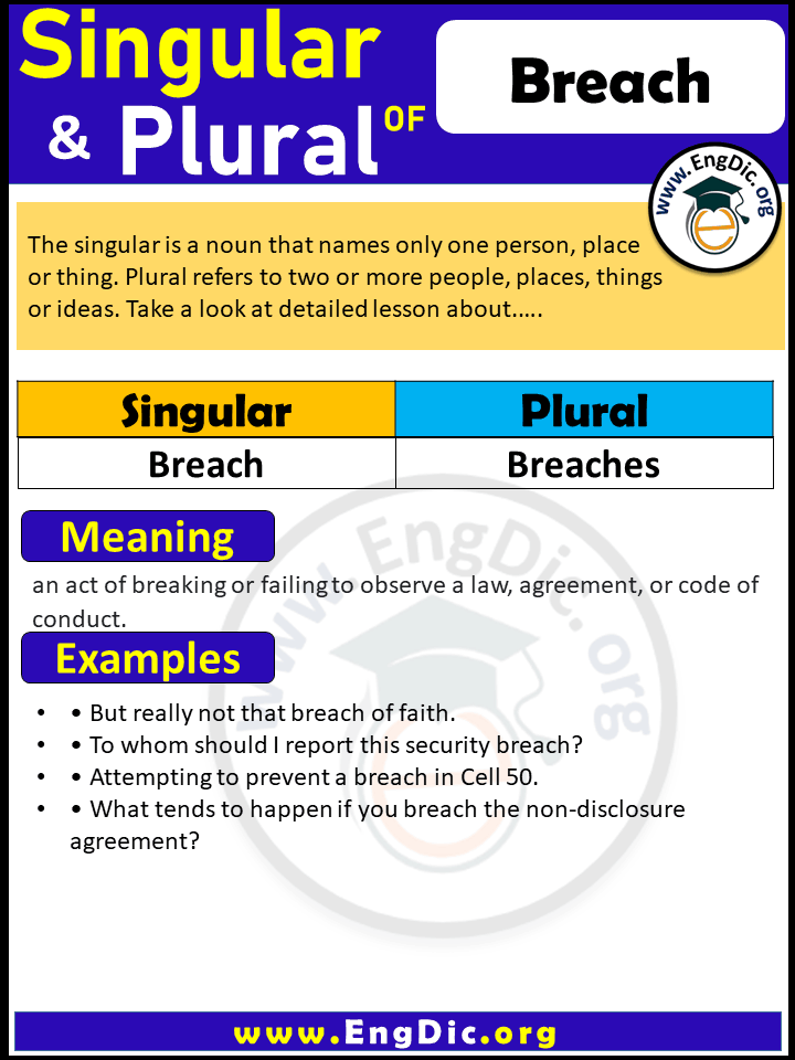 Breach Plural, What is the plural of Breach?