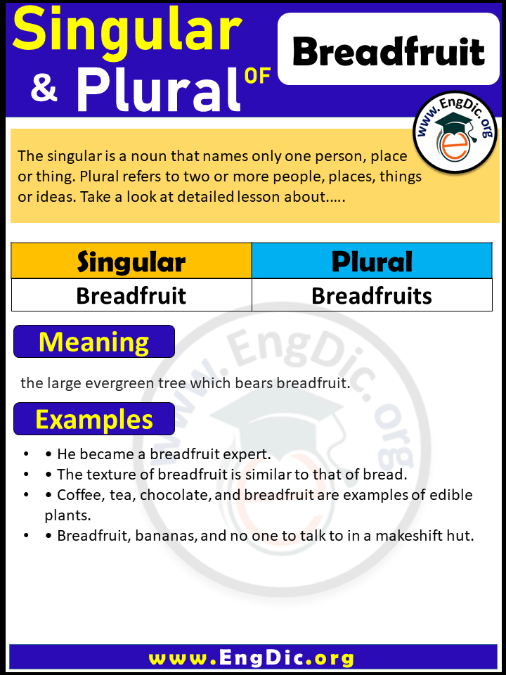 Breadfruit Plural, What is the plural of Breadfruit?