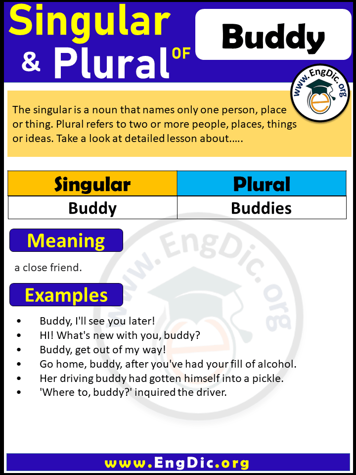Buddy Plural, What is the plural of Buddy?