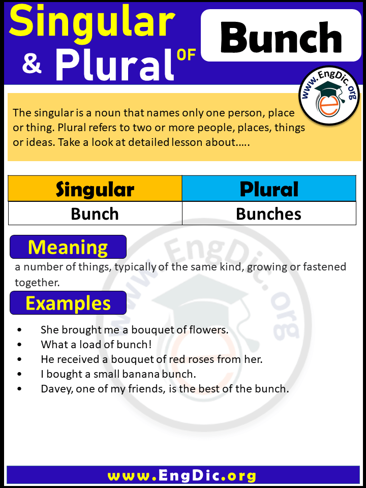 Bunch Plural, What is the plural of Bunch?