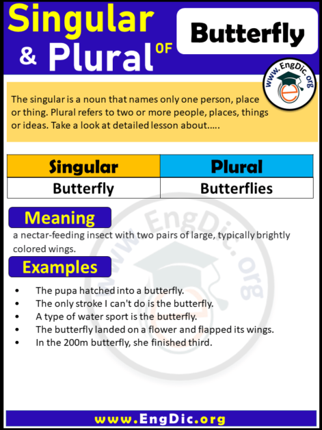 possessive plural form of butterfly