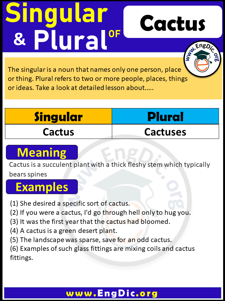 Cactus Plural, What is the plural of Cactus?