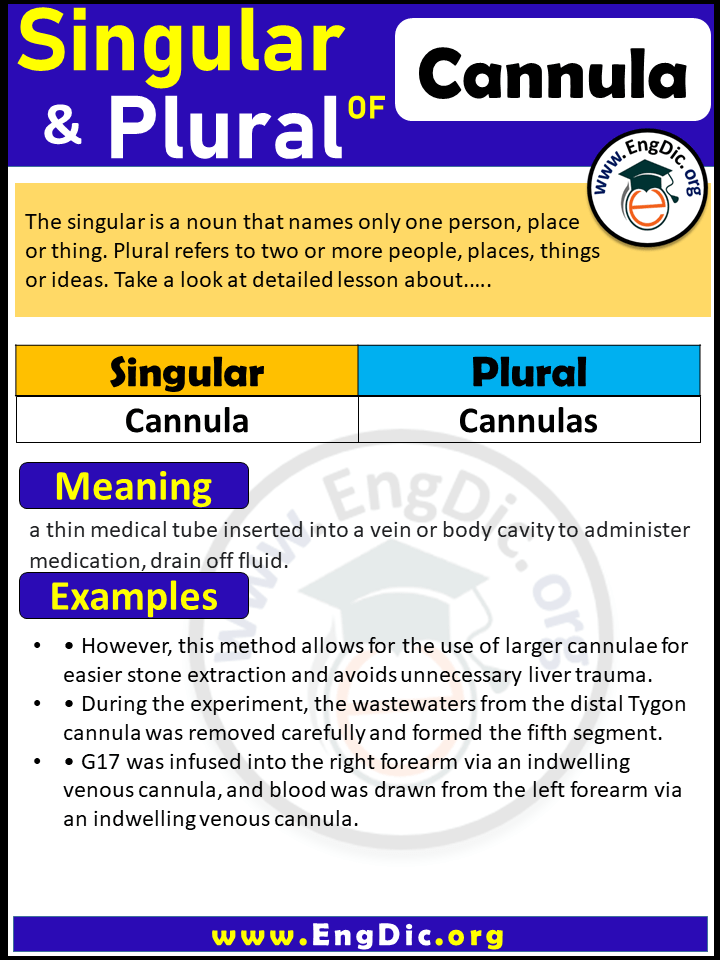 Cannula Plural, What is the plural of Cannula?