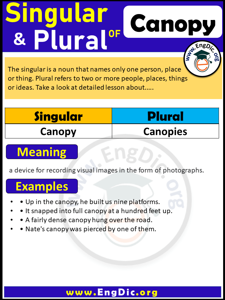 Canopy Plural, What is the plural of Canopy?