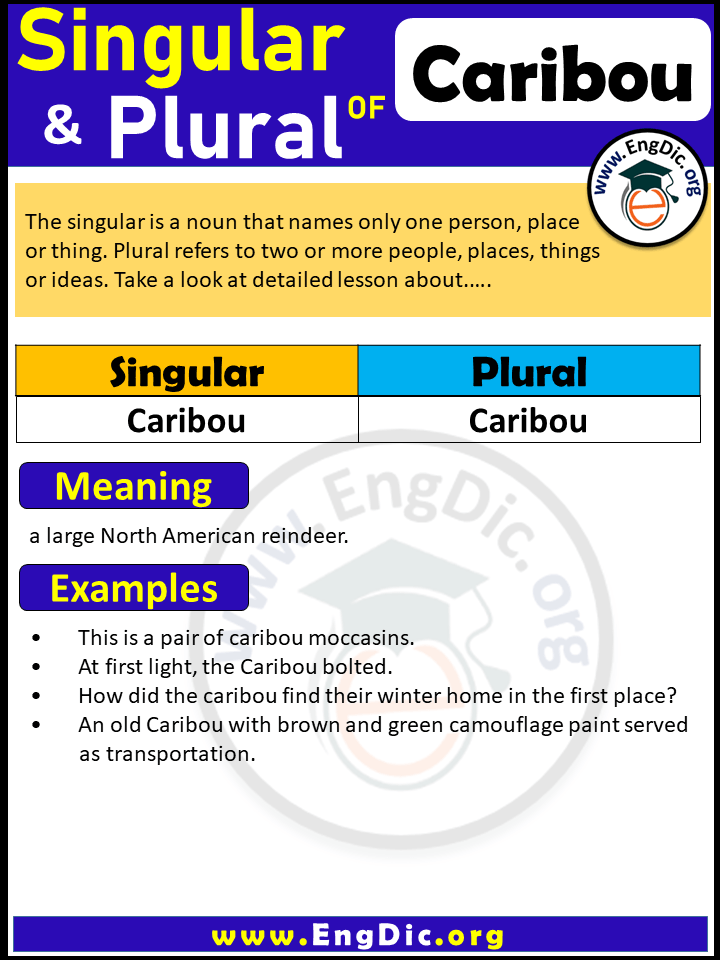 Caribou Plural, What is the Plural of Caribou?