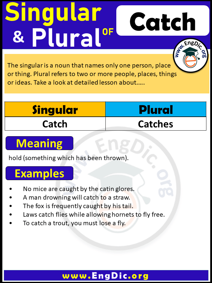 Catch Plural, What is the plural of Catch?