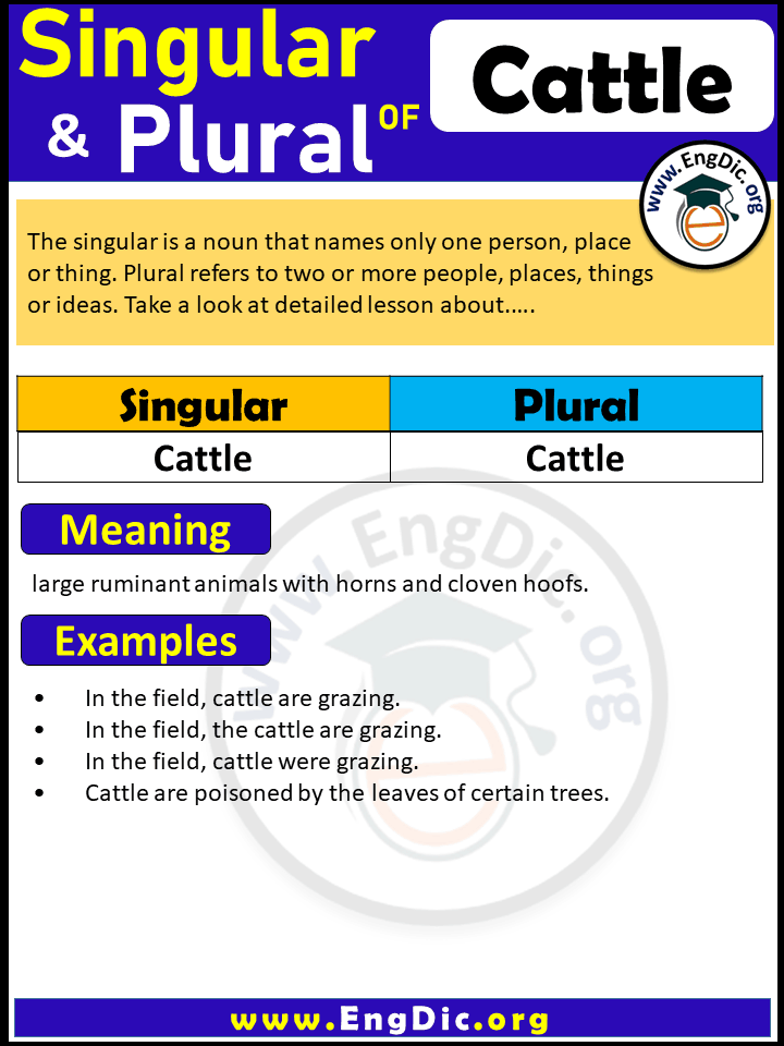 Cattle Ka Plural Archives EngDic