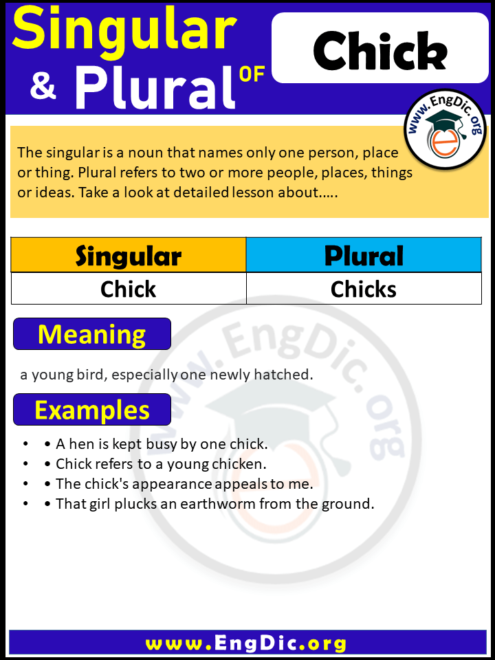 Chick Plural, What is the plural of Chick?