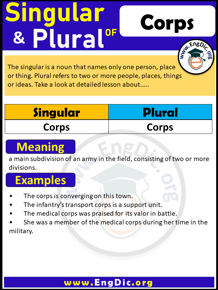Corps Plural, What is the Plural of Corps?