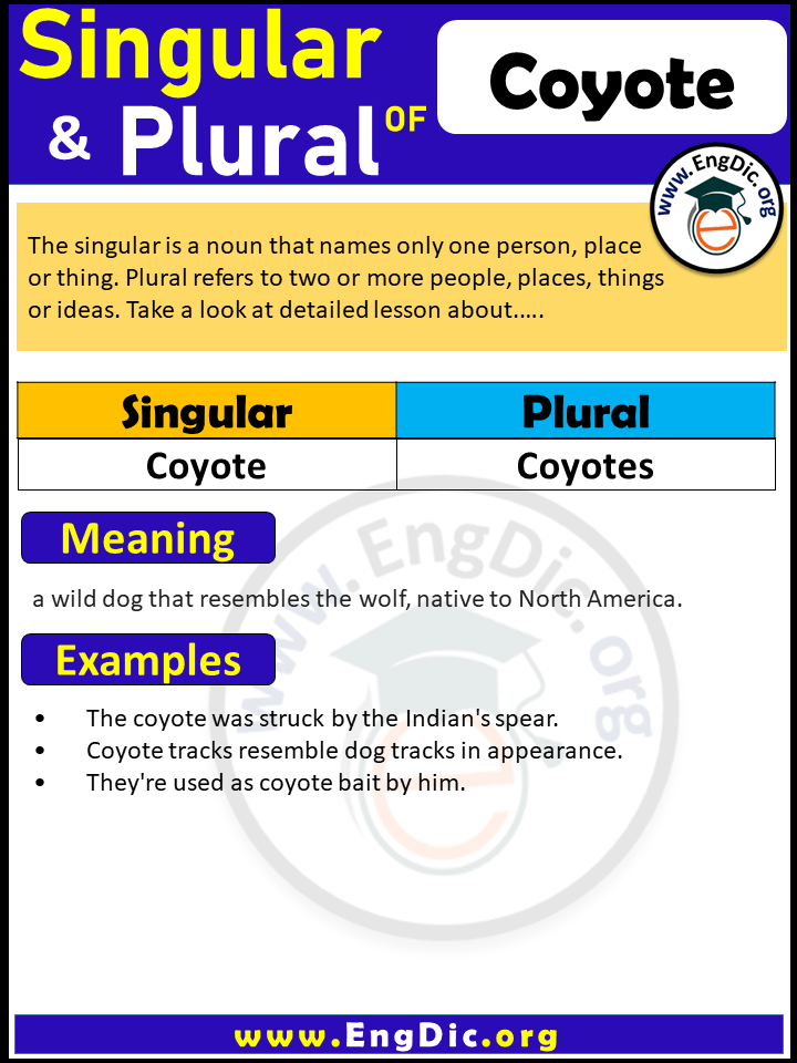 Coyote Plural, What is the plural of Coyote?