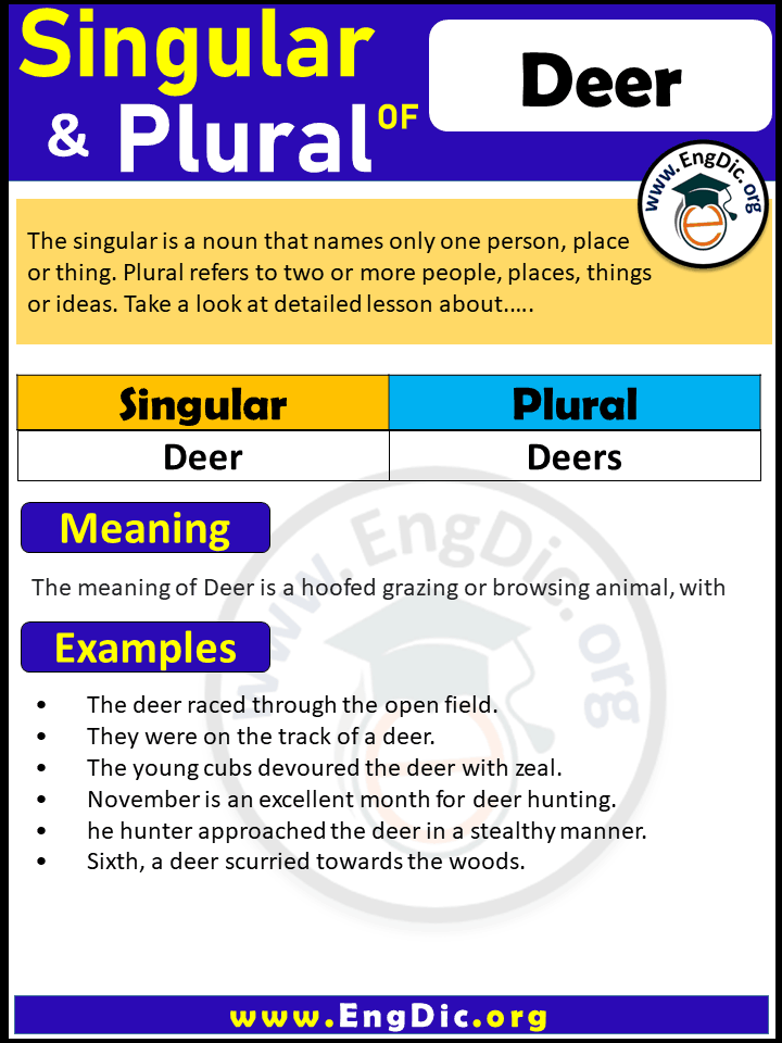 Deer Plural, What is the plural of Deer?