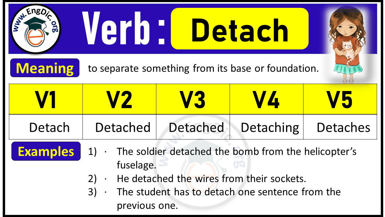 Detach Verb Forms: Past Tense and Past Participle (V1 V2 V3)