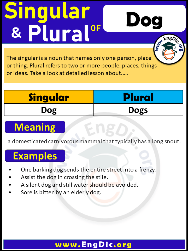 Dog Plural, What is the Plural of Dog?
