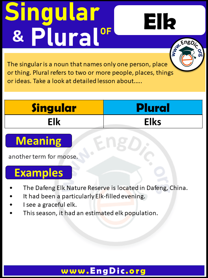 Elk Plural, What is the Plural of Elk?