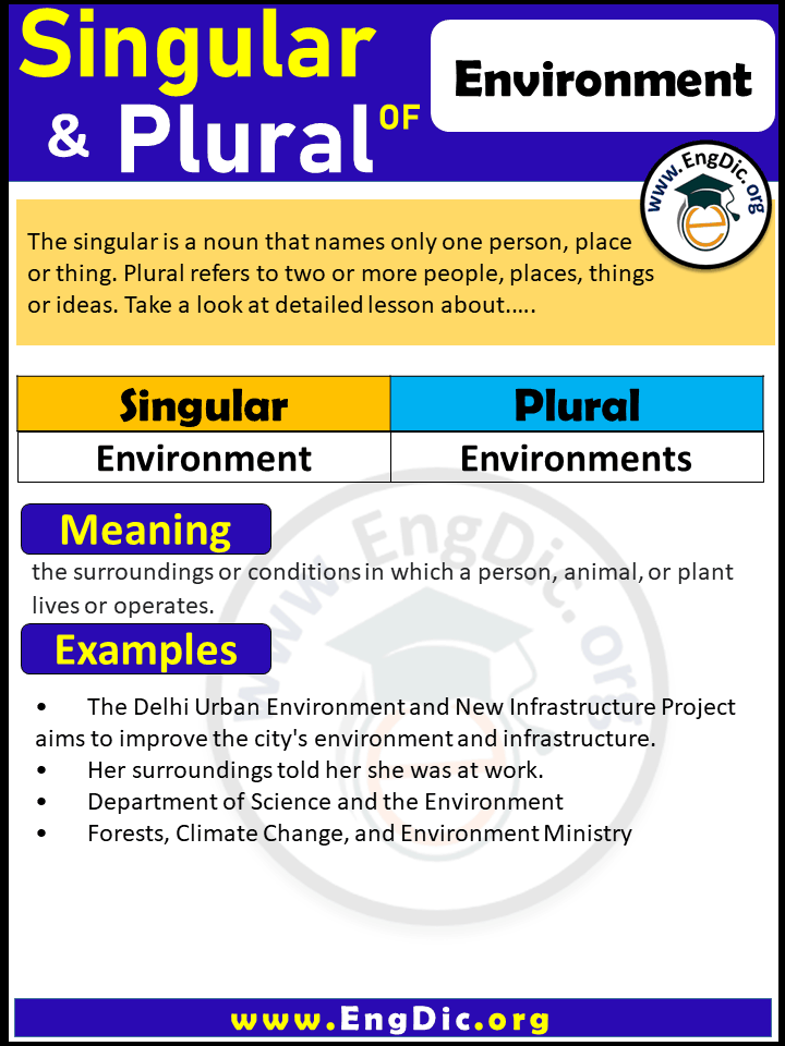 Environment Plural, What is the plural of Environment?