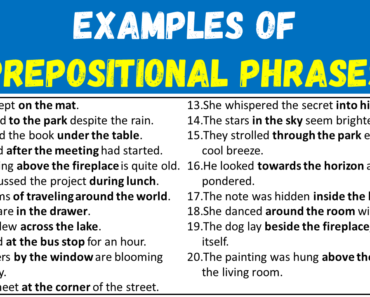 10 Examples Of Prepositional Phrases in Sentences